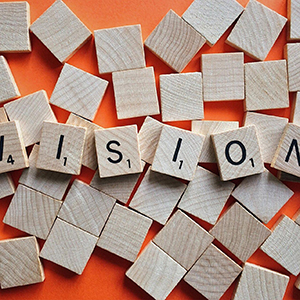 vision